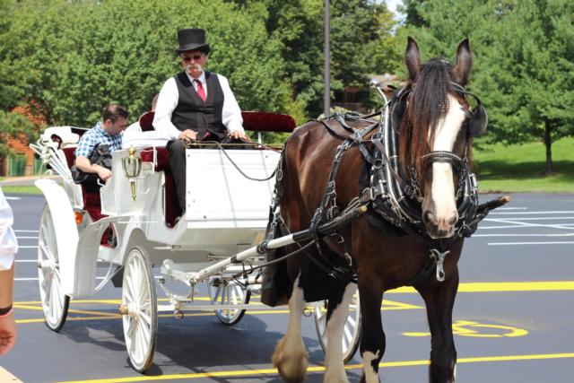 A horse drawn carriage let the families ride off 