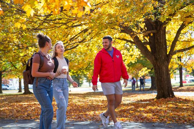 Fast Track Pathway Program - Lộ trình ngắn nhất để chinh phục Southern Illinois University Edwardsville (SIUE)