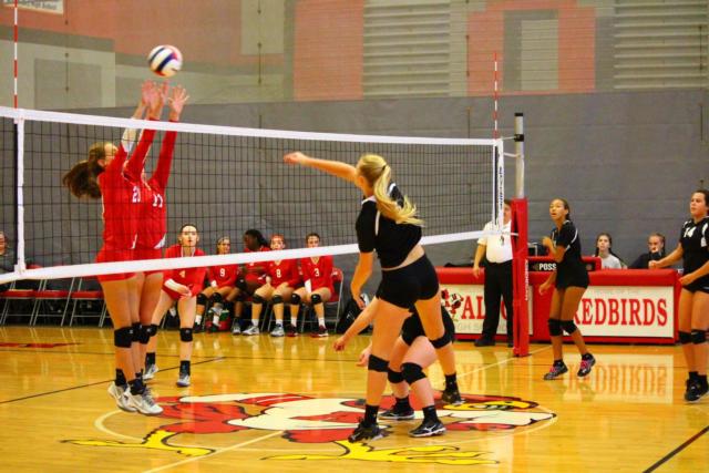 The Redbird front line blocks a shot from the Warriors Saturday morning.
