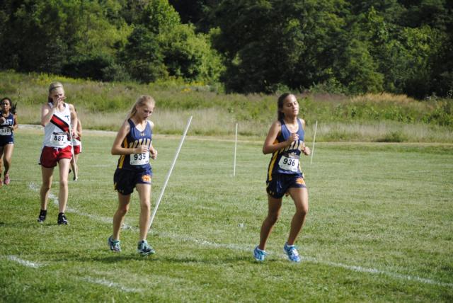 Roxana's cross country girls had an excellent showing at Wednesday's Tiger Classic meet.