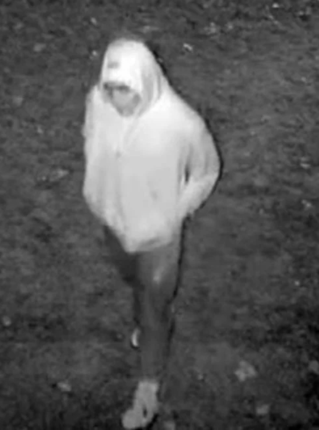 Suspect 1