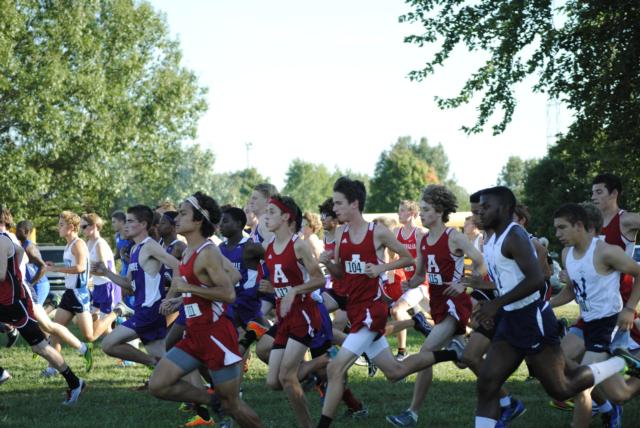 Alton's cross country team continues to get better every meet. Here are the boys at the start of the Alton Invitational.