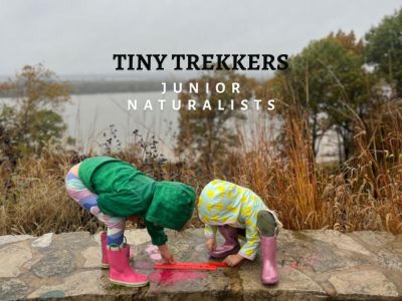 Tiny Trekkers: Junior Naturalists event flyer