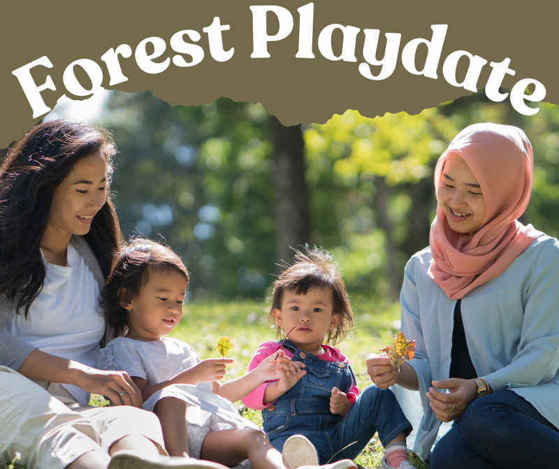 Forest Playdate event flyer