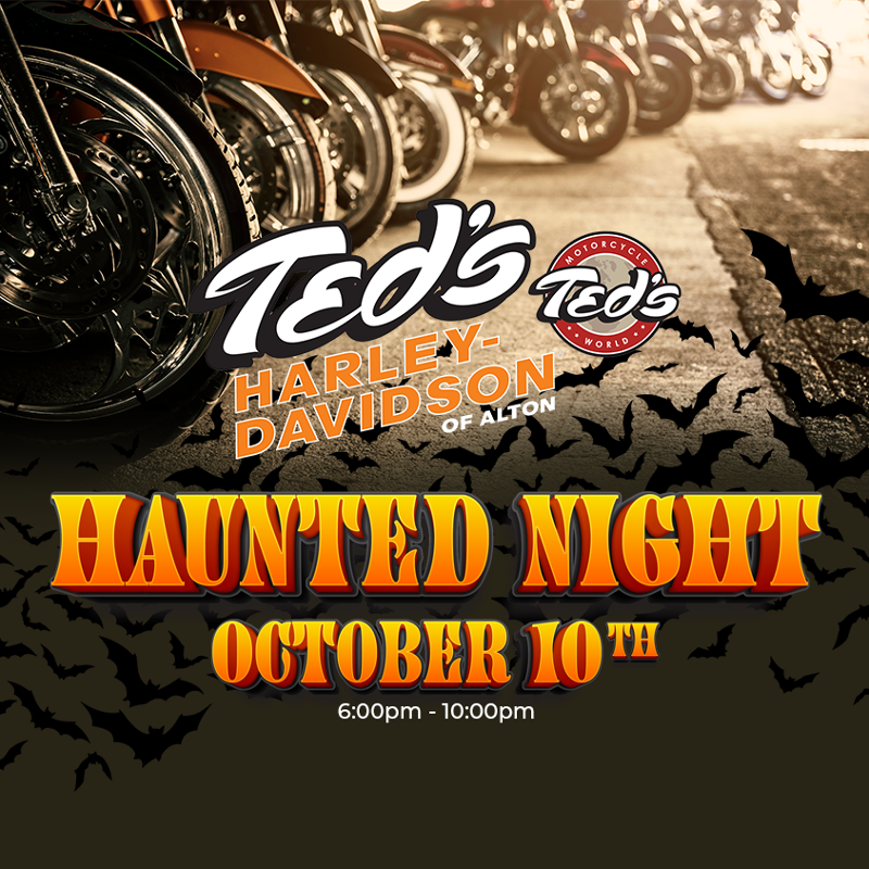 Ted's Haunted Night