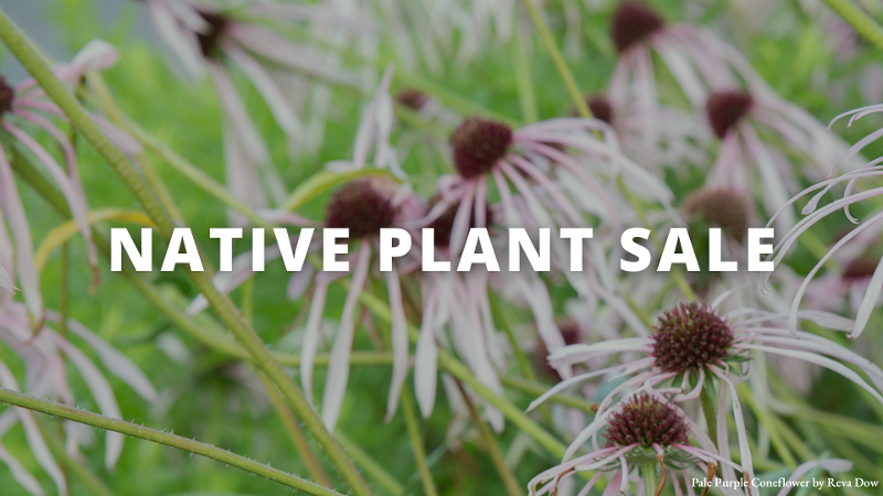 Missouri Prairie Foundation Fall Plant Sale event flyer
