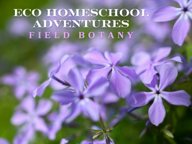 ECO Homeschool Adventures: Field Botany (6th - 12th) event flyer