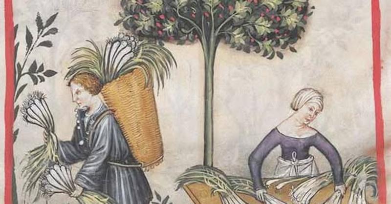 Edwardsville Garden Club: History and Use of Herbs - Saturday October 10, 2026&nbsp;- 12PM event flyer