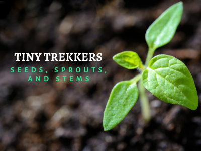 Tiny Trekkers: Seeds\, Sprouts\, & Stems event flyer