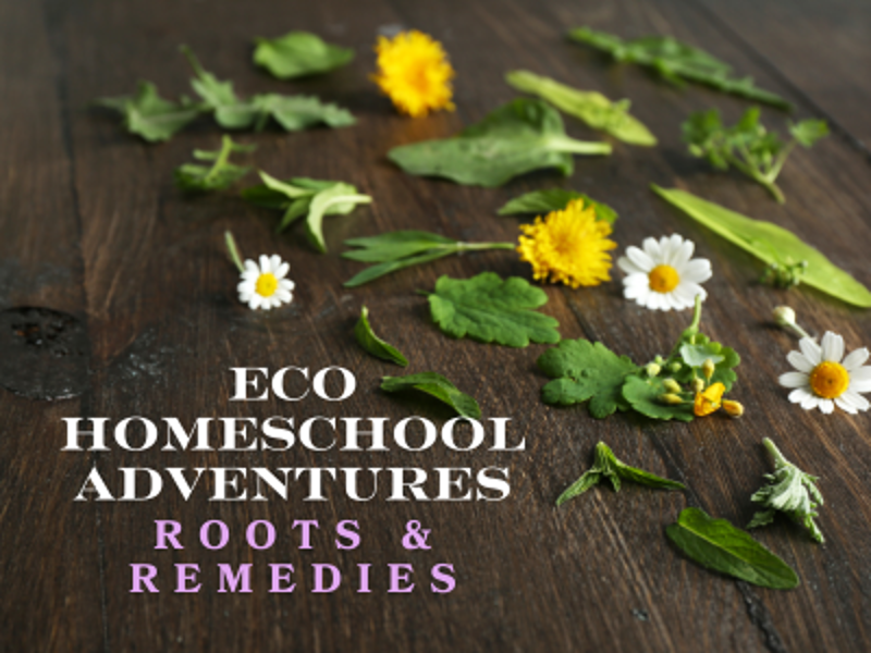 ECO Homeschool Adventures: Roots & Remedies event flyer