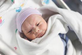 Carter Pettit