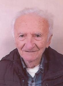 Gino Bertusi