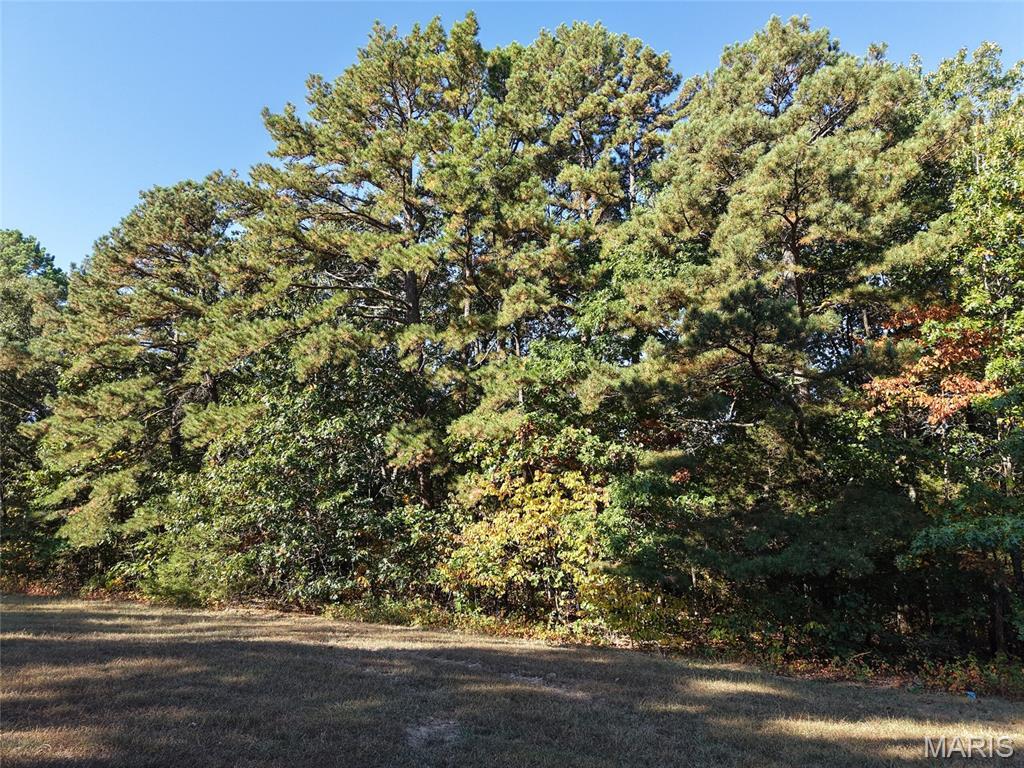 Property photo 41