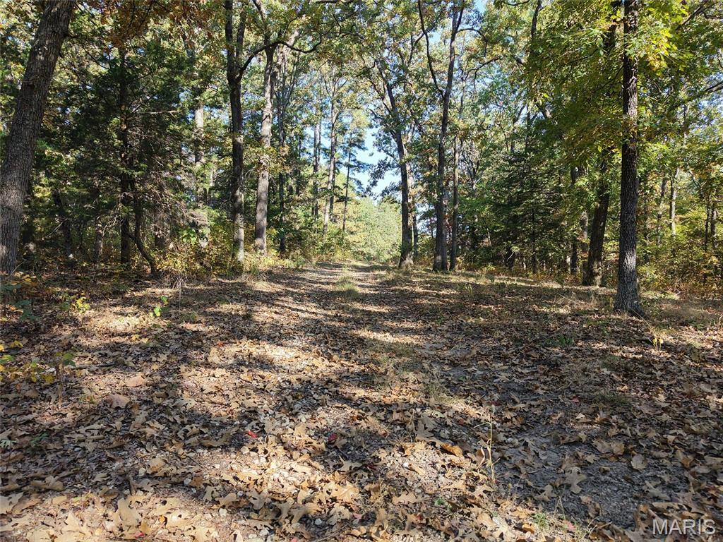Property photo 45