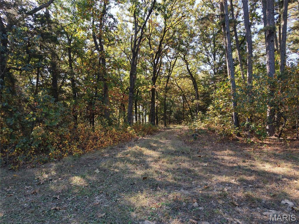 Property photo 43