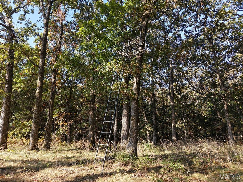 Property photo 46