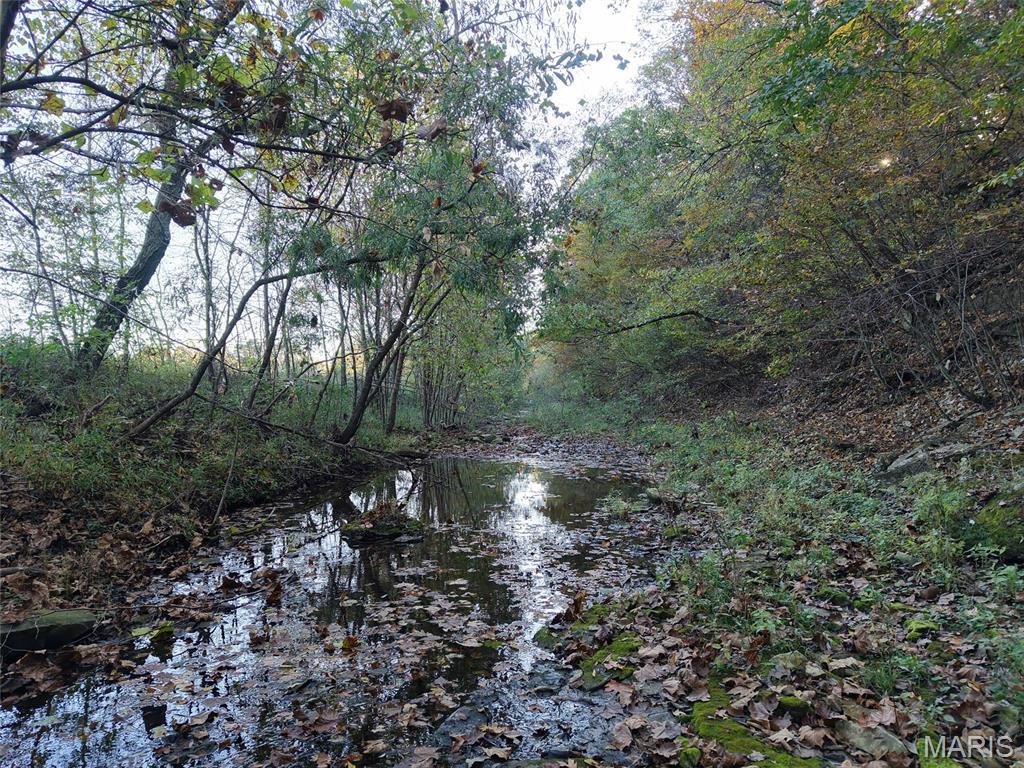 Property photo 49