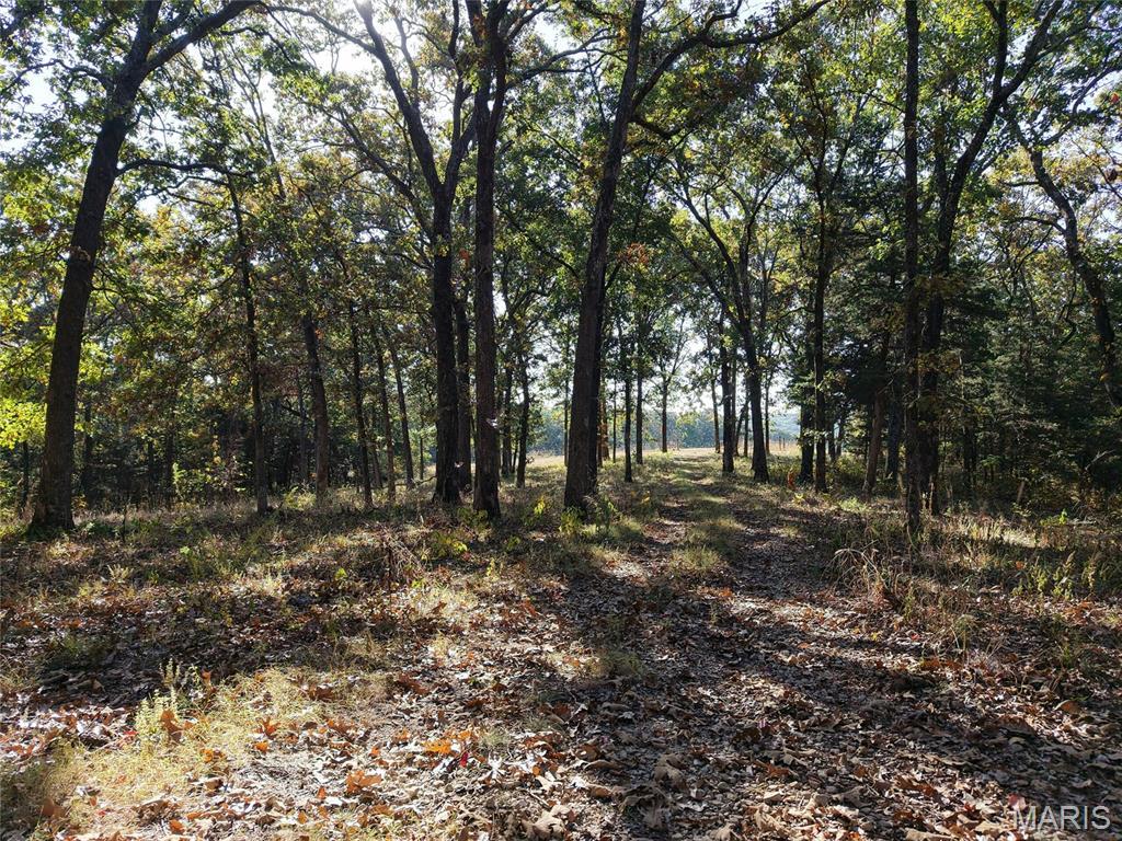 Property photo 44