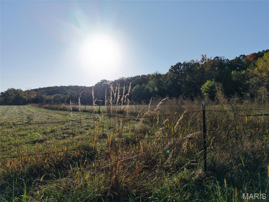Property photo 59