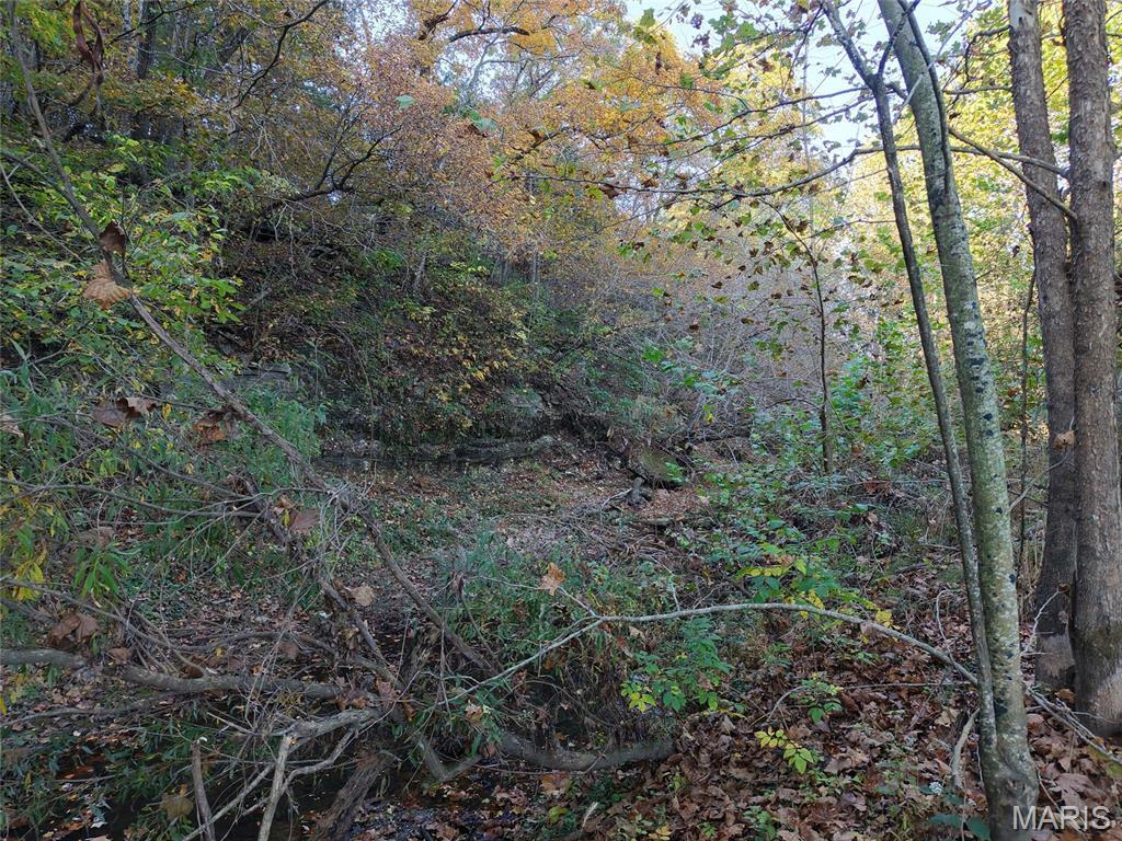 Property photo 52