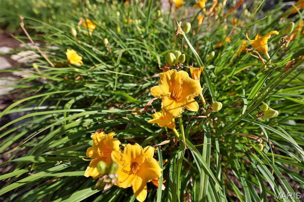 Property photo 76