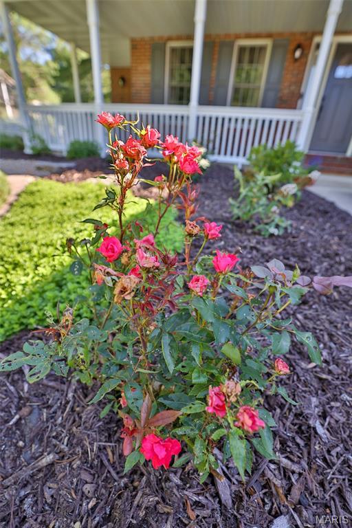 Property photo 78
