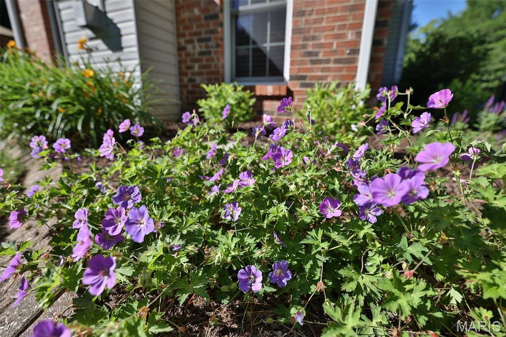 Property photo 72