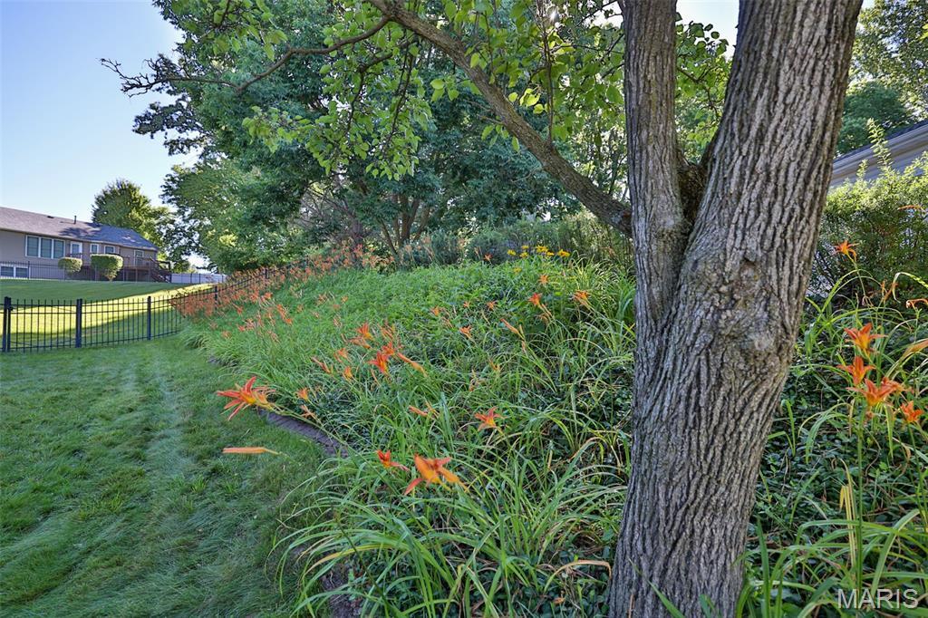 Property photo 69